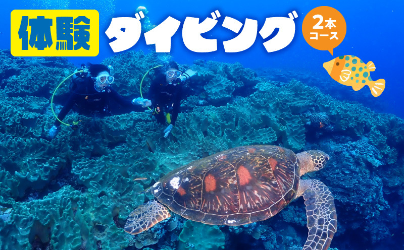 体験ダイビング2本コース